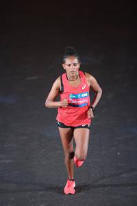 BIB: 
                            <button type="button" onclick="openModal(22899598)" class="btn btn-primary btn-sm float-right btn-popup" data-toggle="modal" data-target=".modal-high-quality">
                        <i class="fas fa-shopping-cart"></i> Add to Cart
                    </button>
                                            <button type="button" onclick="isThisMe(22899598, true)" class="btn btn-success btn-sm float-right btn-popup btn-isme hidden" data-toggle="tooltip" data-placement="bottom" title="นี่คือรูปของคุณใช่ไหม คลิกที่นี่เพื่อเอาเข้าอัลบั้ม">
                        <i class="fas fa-plus"></i> Add to album
                    </button>
                    <button type="button" onclick="isThisMe(22899598, false)" class="btn btn-warning btn-sm float-right btn-popup btn-isnotme hidden">
                        <i class="fas fa-ban"></i> Remove from album
                    </button>